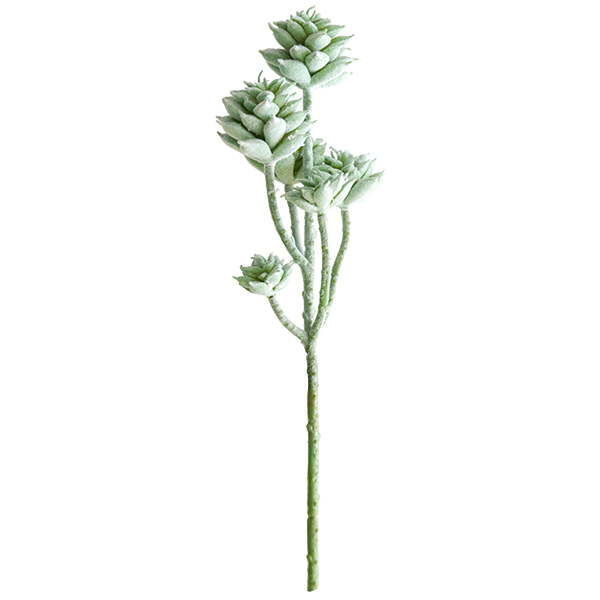 Grey-Green Mini Succulent Stem 13