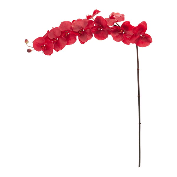 Tige de phalaenopsis rouge géante 45