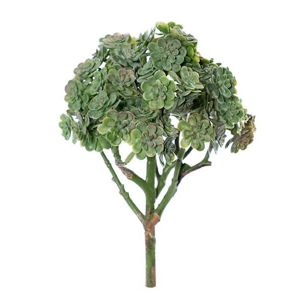 Tige de plante grasse, 9