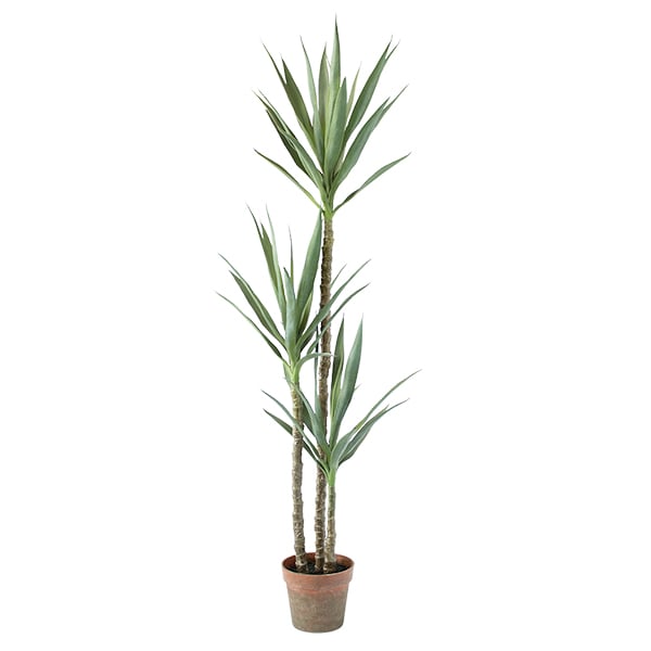 Yucca artificiel à trois troncs, 59''